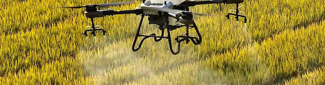 Spray drones are improving rice crops.