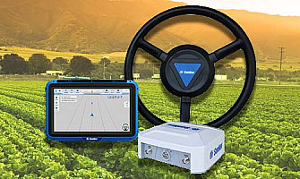 Παιχνίδι στο 5Gringos